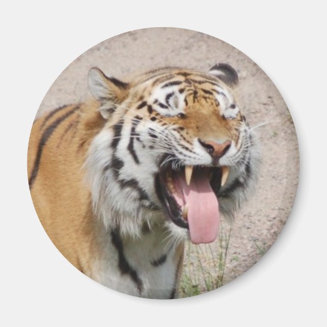 Imán Say AHHHH Magnet (Frente)
