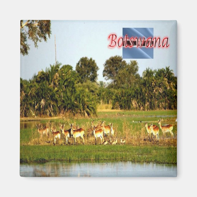 Imán sBW009 BOTSWANA, Grupo de mujeres Lechwe, Fridge (Frente)