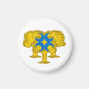Imán SCA Gyldenholt Magnet