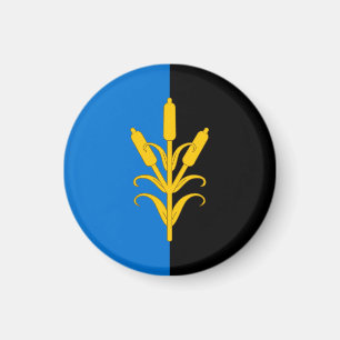 Imán SCA Saint SWithin's Bog