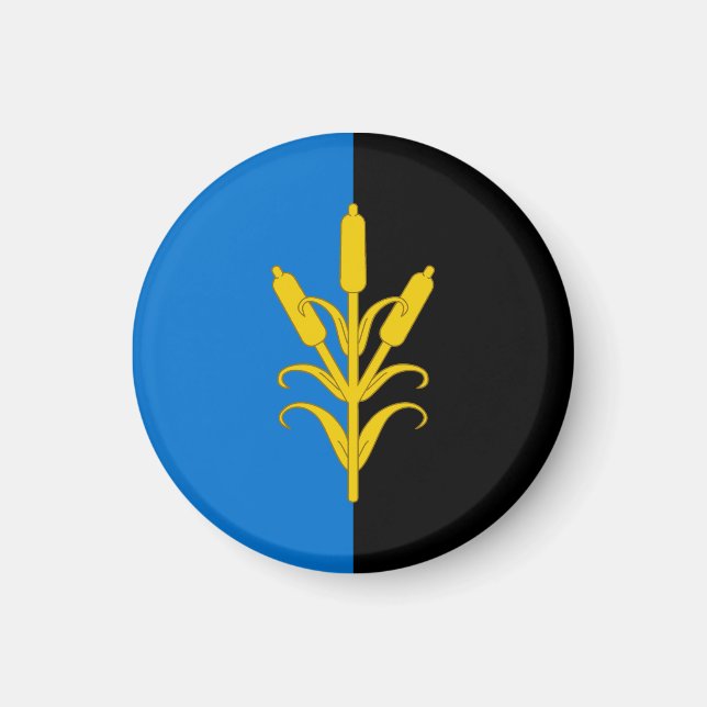 Imán SCA Saint SWithin's Bog (Frente)