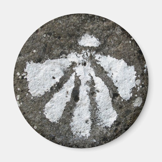 Imán Scallop Shell Magnet (Frente)