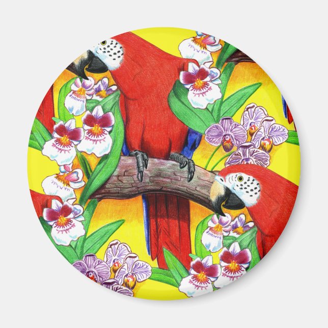 Imán Scarlet McCaw (Frente)