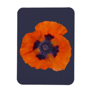 Imán Scarlet Naranja Poppy 1