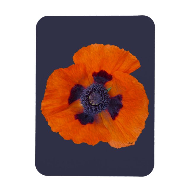 Imán Scarlet Naranja Poppy 1 (Vertical)