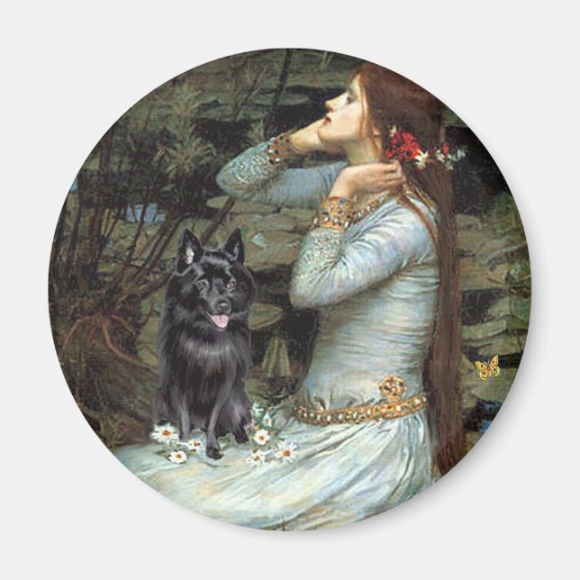Imán Schipperke 4 - Ophelia Sentada (Frente)