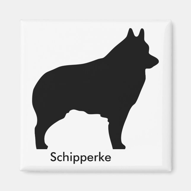 Imán Schipperke Magnet (Frente)