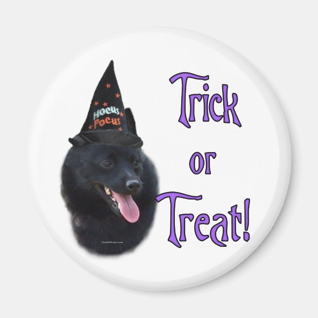 Imán Schipperke Trick (Frente)