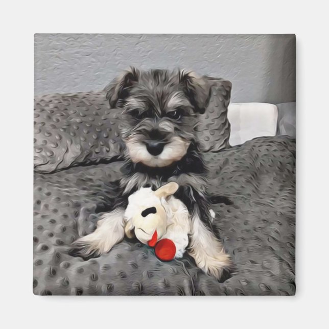 imán Schnauzer (Frente)