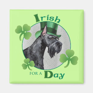 Imán Schnauzer, el gigante del Día de San Patricio