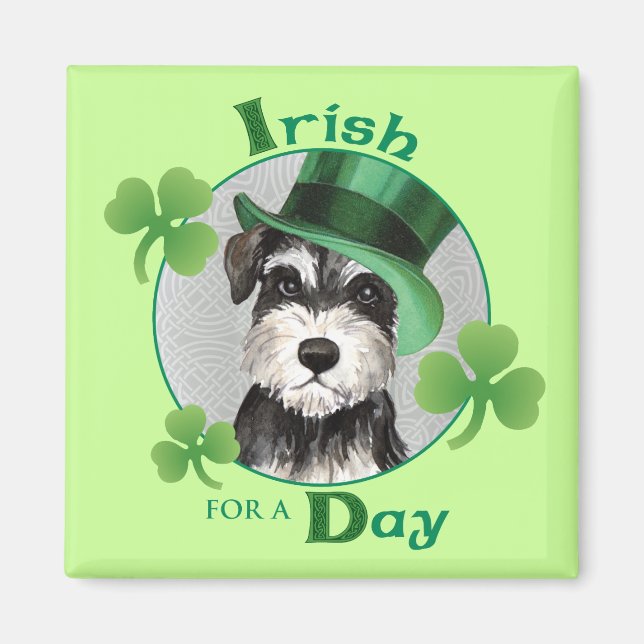 Imán Schnauzer en miniatura del Día de San Patricio (Frente)