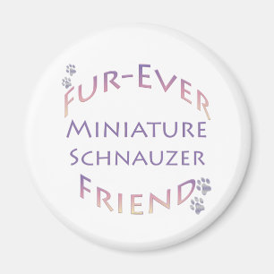 Imán Schnauzer Furever en miniatura