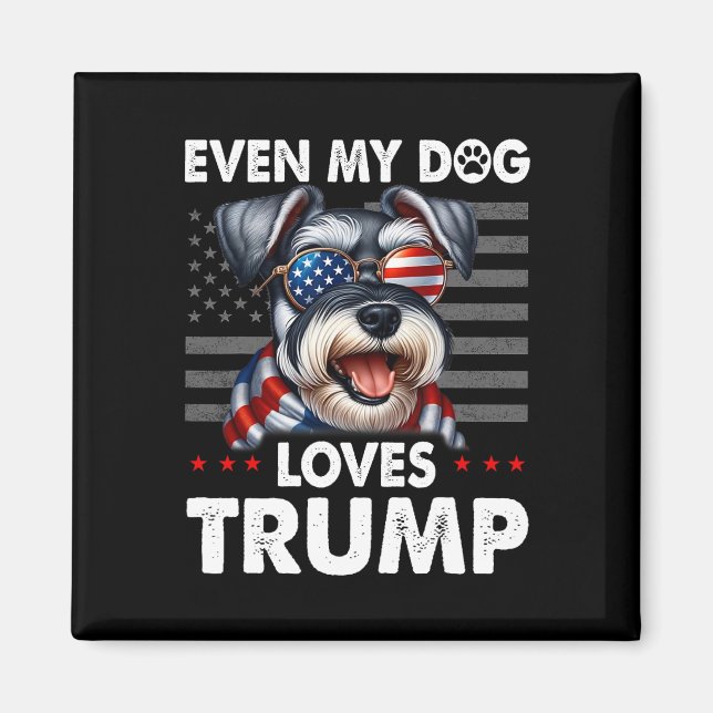 Imán Schnauzer, incluso mi perro ama a Trump gracioso (Frente)