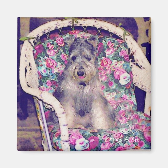 Imán Schnauzer Magnet (Frente)