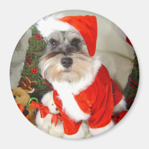 Imán Schnauzer miniatura de X'Mas del navidad
