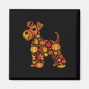 Imán Schnauzer Thanksgivi, Ministra de la Caída de la C