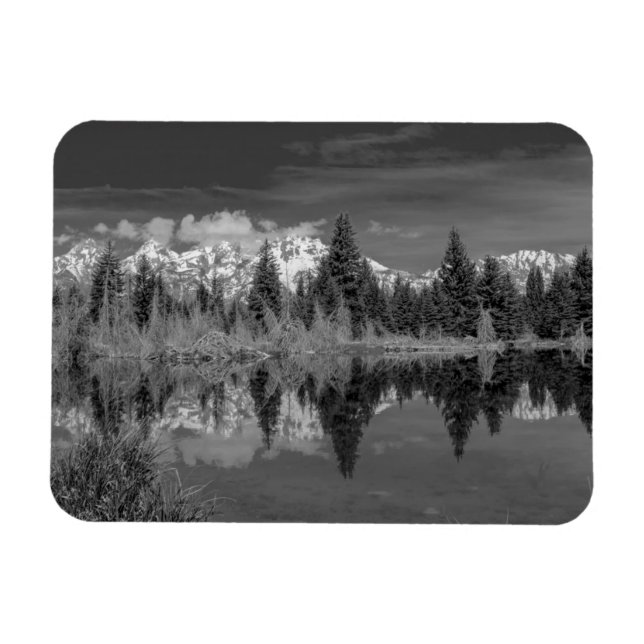 Imán Schwabacher Landing (Horizontal)