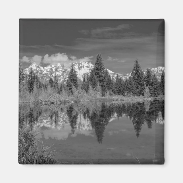Imán Schwabacher Landing (Frente)