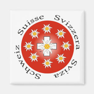 Imán Schweiz Suisse Svizzera Svizra Suiza Magnet