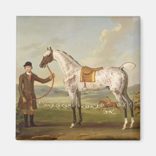 Imán Scipio, Hunter de Spotted, c.1750 (oi de coronel