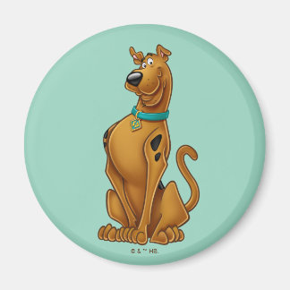 Imán Scooby-Doo Airbroche