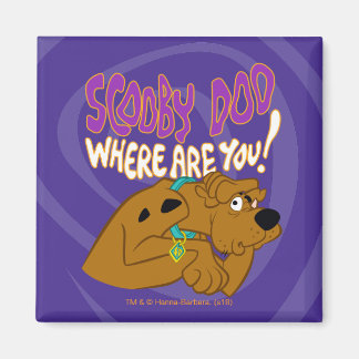 Imán Scooby-Doo asustado