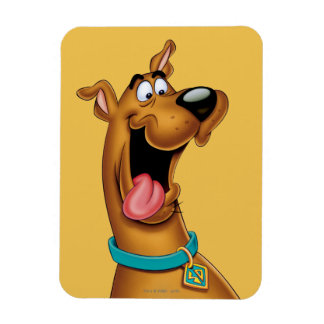 Imán Scooby-Doo Cara emocionada