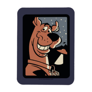 Imán Scooby-Doo con OVNI