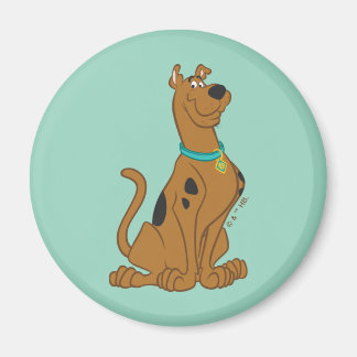 Imán Scooby-Doo Cuter Than Cute