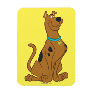 Imán Scooby-Doo Cuter Than Cute