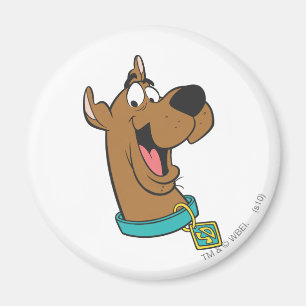 Imán Scooby-Doo Happy Face