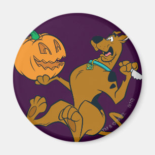 Imán Scooby-Doo que talla la calabaza