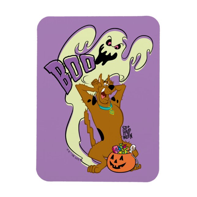 Imán Scooby-Doo | Scooby-Doo Boo (Vertical)