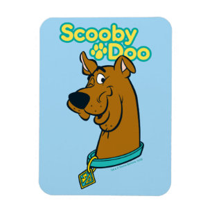 Imán Scooby-Doo Winking