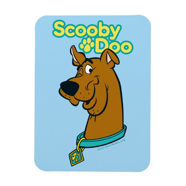 Imán Scooby-Doo Winking (Vertical)