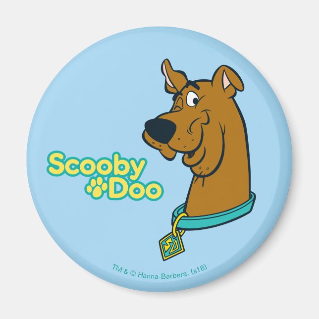 Imán Scooby-Doo Winking (Frente)