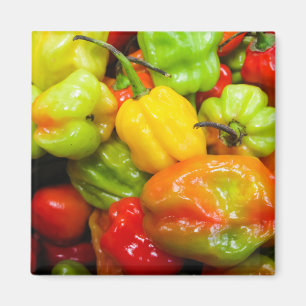 Imán Scotch Bonnet