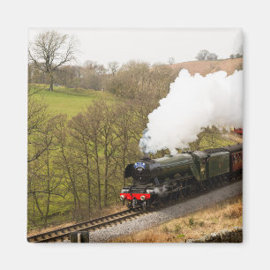 Imán Scotsman del vuelo en Goathland