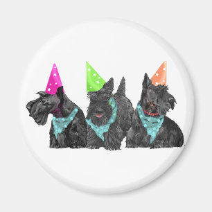 Imán Scotties de celebración con sombreros de fiesta