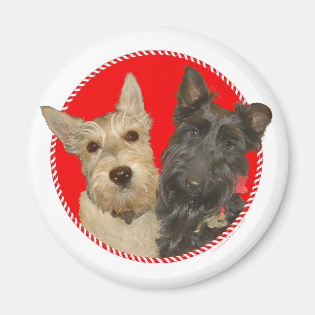 Imán Scotties Wheaten y Negros de Navidad (Frente)