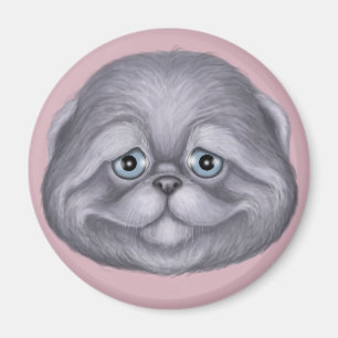 Imán Scottish Fold Kitten