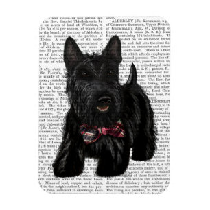 Imán Scottish Terrier and Bow