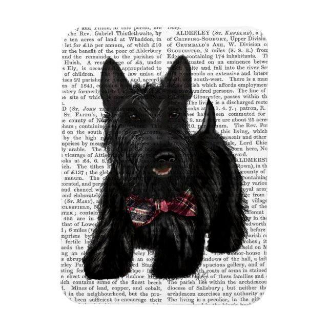 Imán Scottish Terrier and Bow (Vertical)