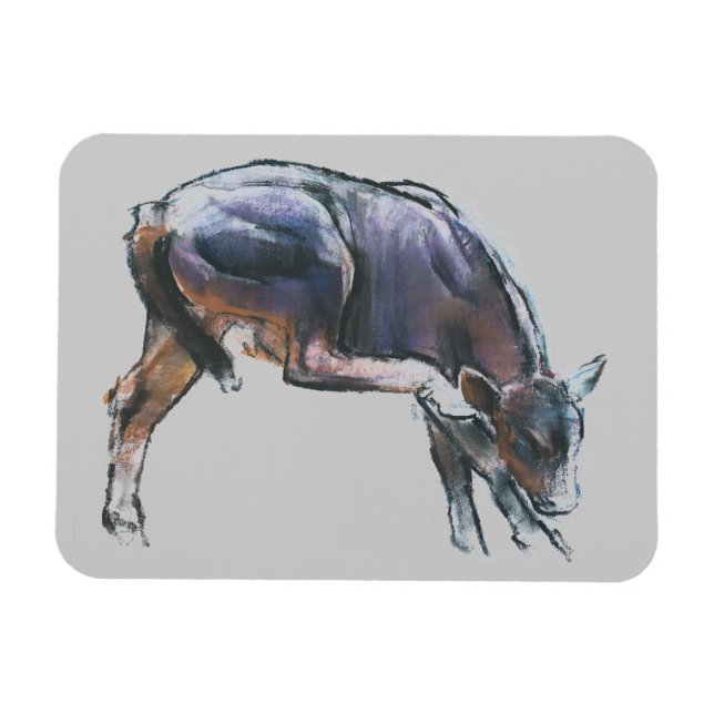 Imán Scratching Calf 2006 (Horizontal)