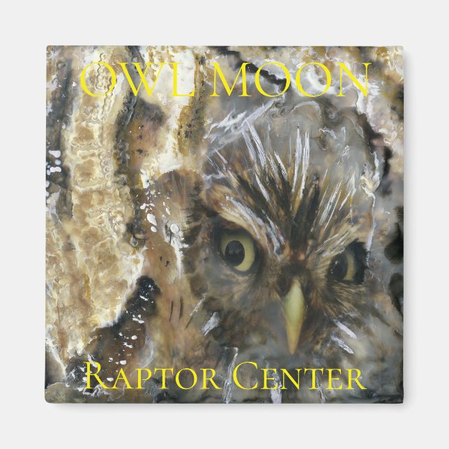 Imán Screech Owl Magnet (Frente)