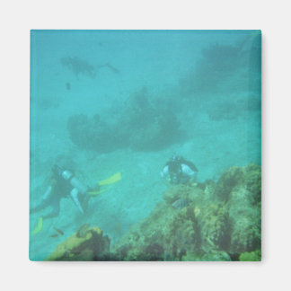 Imán Scuba Divers Dream Magnet