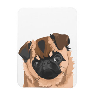 Imán Scully Magnet
