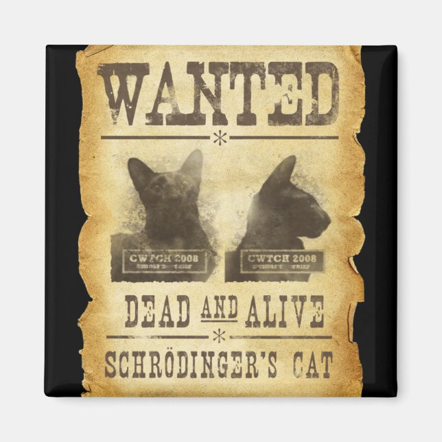 Imán Se busca vivo y muerto. El gato de Schroedinger. (Frente)