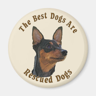 Imán Se rescatan los mejores perros - Pinscher