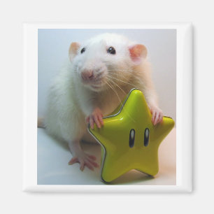 Imán Sea su propia estrella